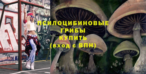 винт Алзамай