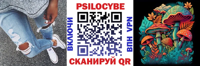 Псилоцибиновые грибы Magic Shrooms  мега tor  Елабуга 