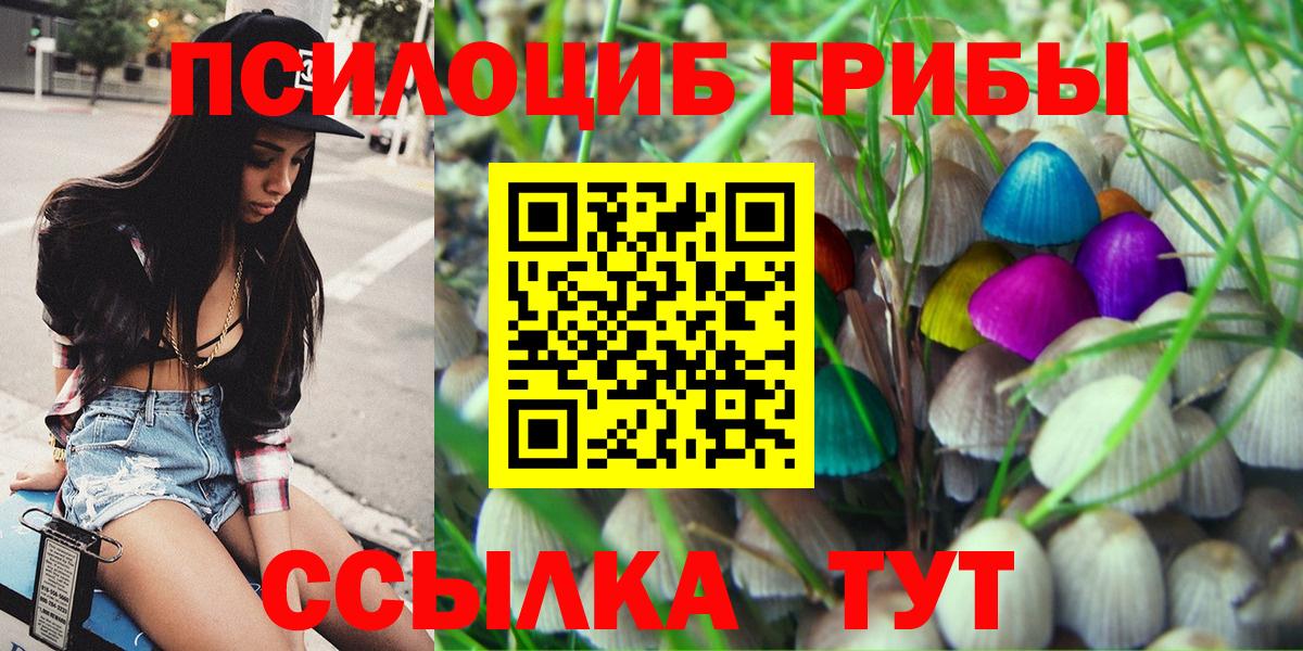 Елабуга  Галлюциногенные грибы MAGIC MUSHROOMS  Вход с VPN 